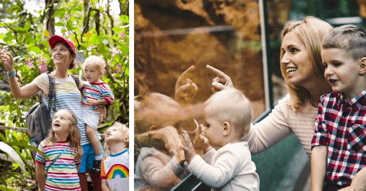 kids and moms having fun at the zoo