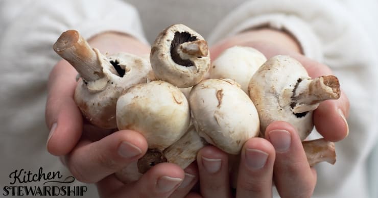 Handful of mushrooms
