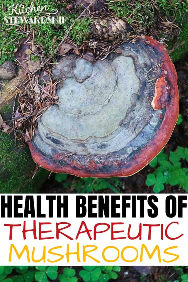 Health benefits of therapeutic mushrooms