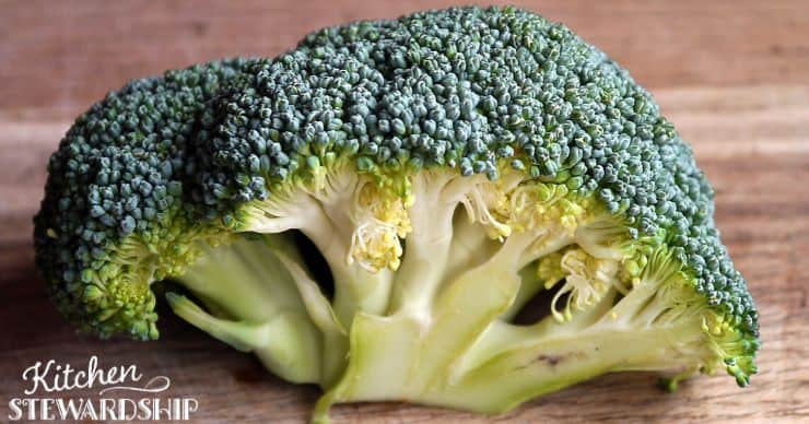 broccoli 