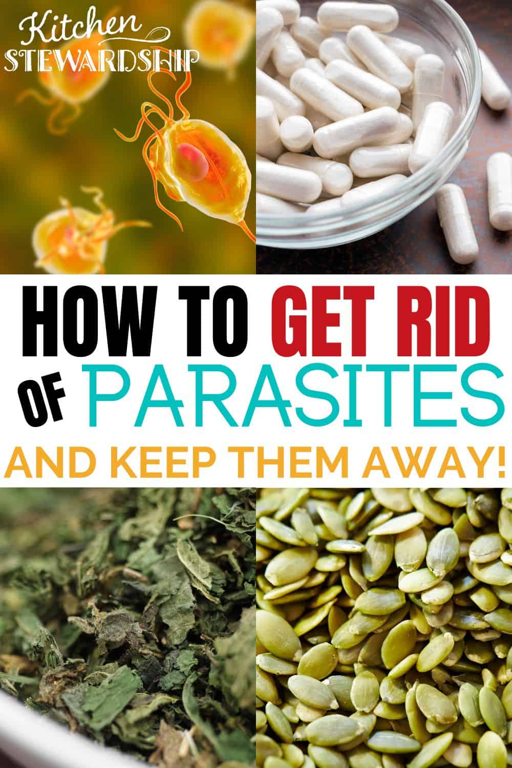 How to get rid of parasites and keep them away!