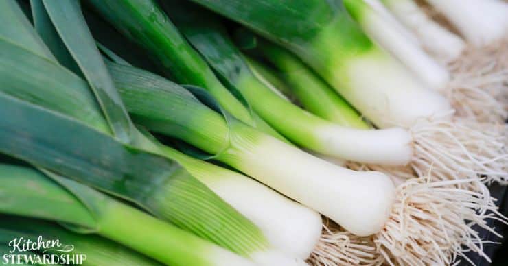 Leeks and onions are a good dietary source of prebiotics to feed your gut microbiome. 