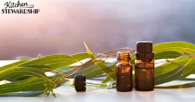 essential oils for parasites