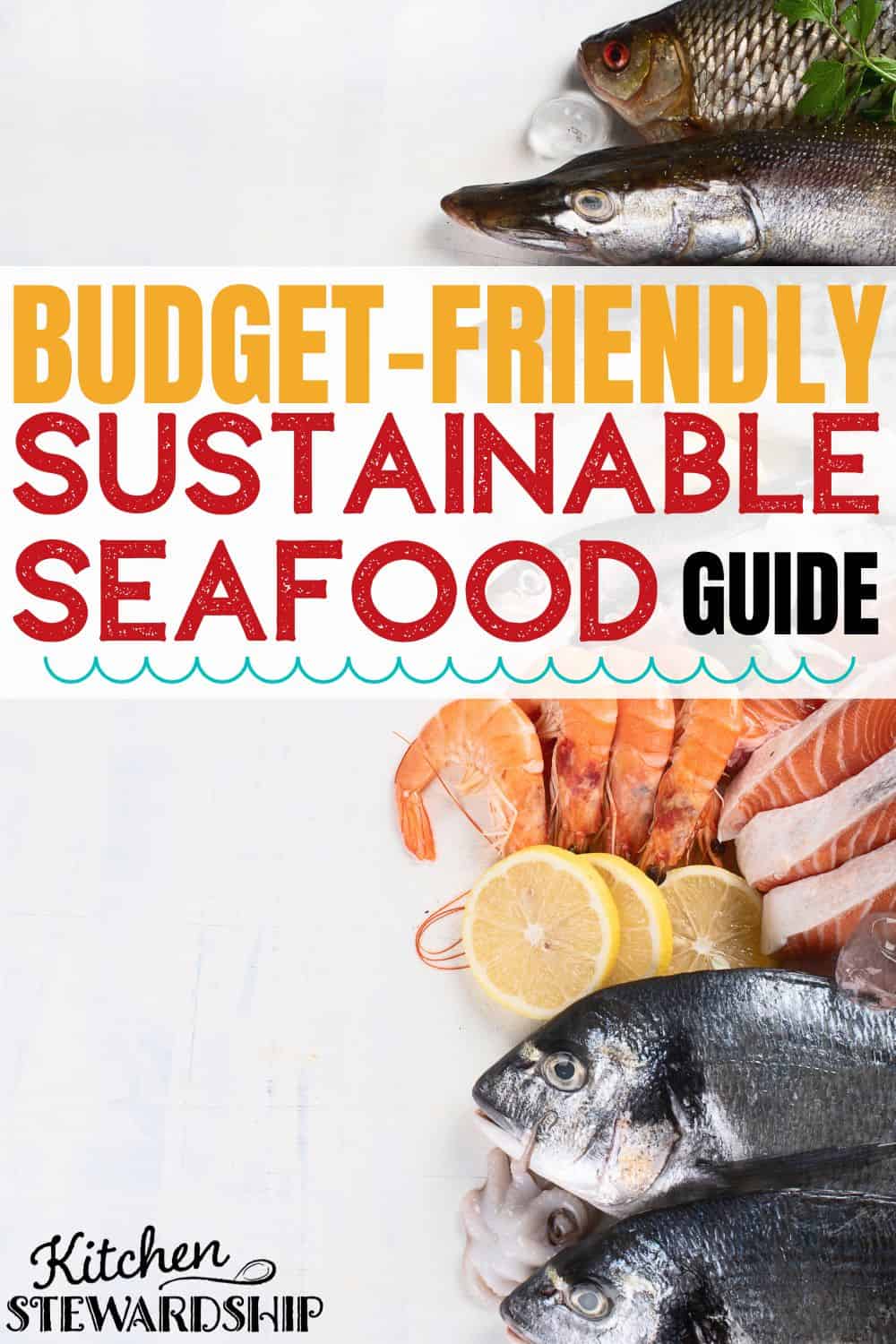 Budget-friendly sustainable seafood guide