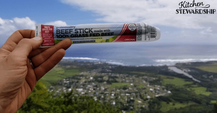 Paleovalley meat stick