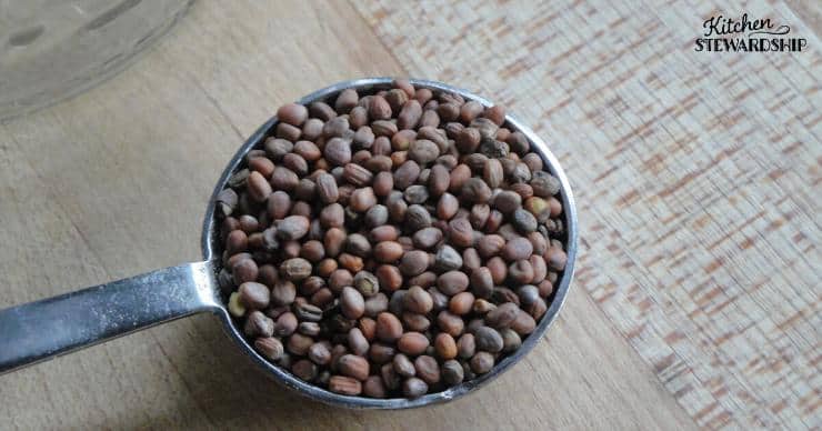 Lentils in a measuring cup