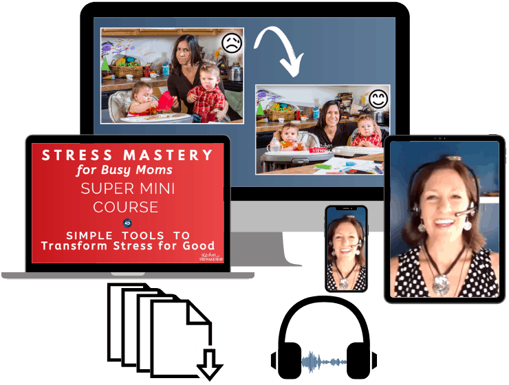 Stress Mastery Course Products