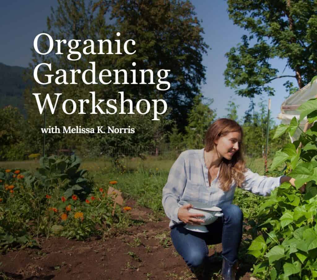 organic gardening