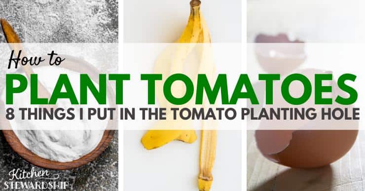 tomato fertilizer items