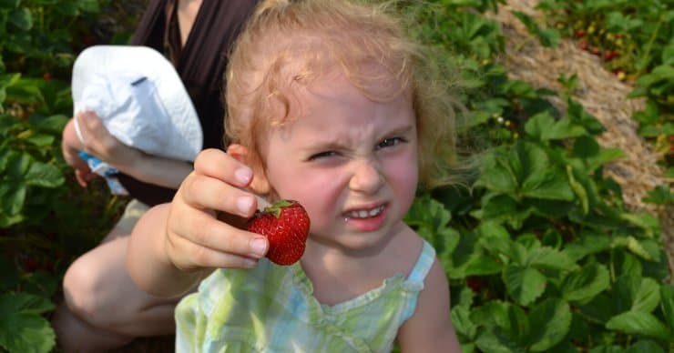 girl holding strawberry
