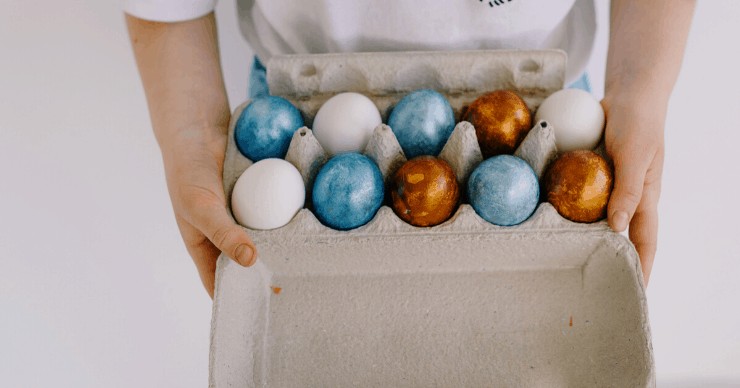 repurposing kitchen egg carton container