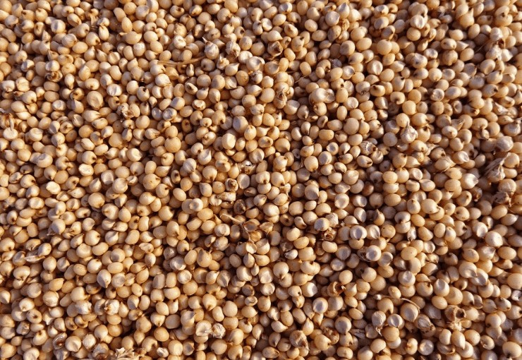 sorghum syrup, how to use sorghum