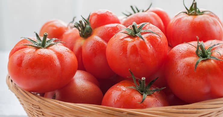 tomatoes in bowl