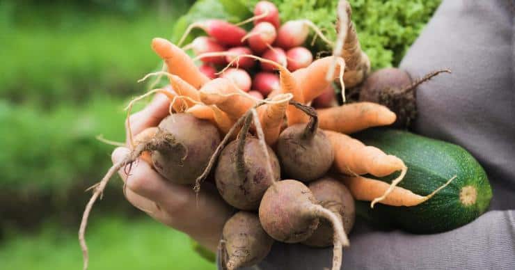 woman carrying an armful of freshly picked garden veggies