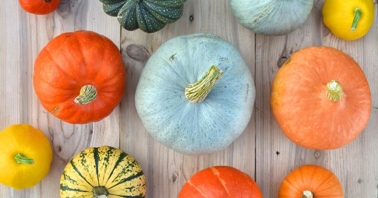 Cooking Squash in Instant Pot - Spaghetti squash, butternut squash, acorn squash, and pumpkin