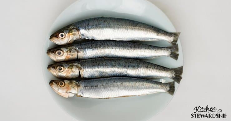 sardines on a plate
