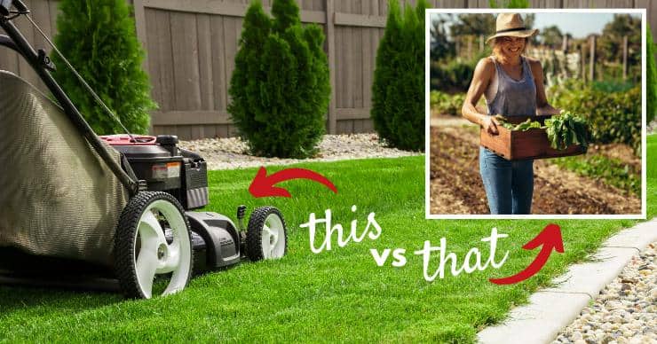 woman in garden with box of veggies