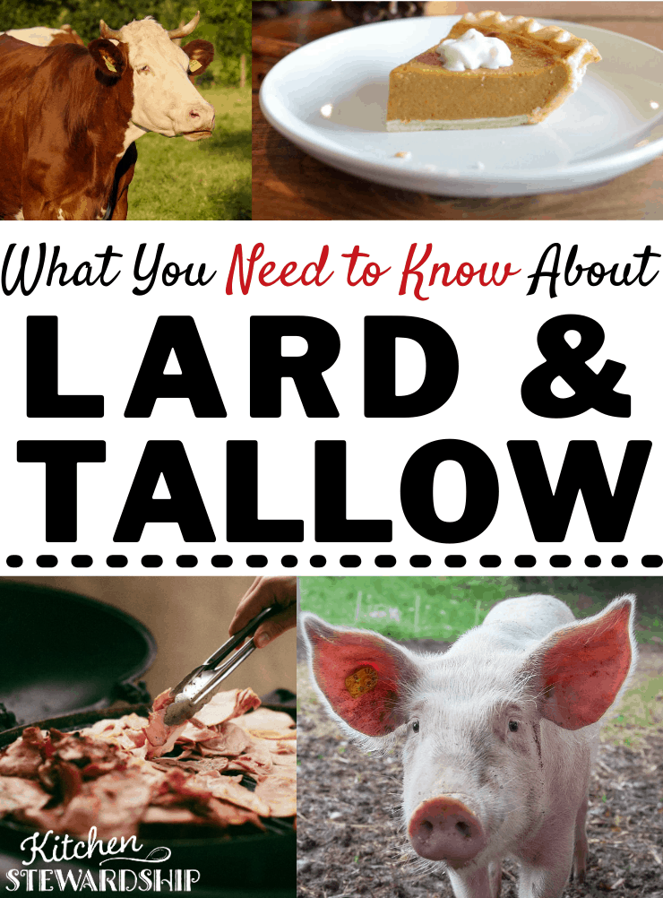 What you need to know about lard and tallow?