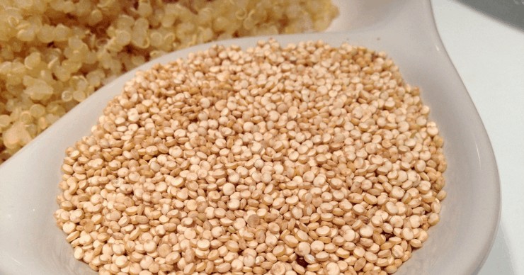 quinoa for storage grains
