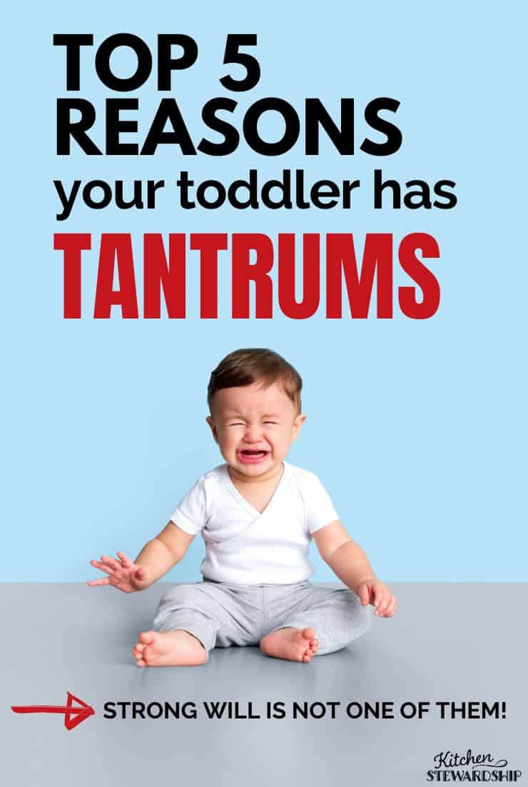 Top 5 reasons your toddler has tantrums