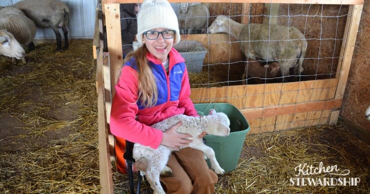 girl holding a lamb