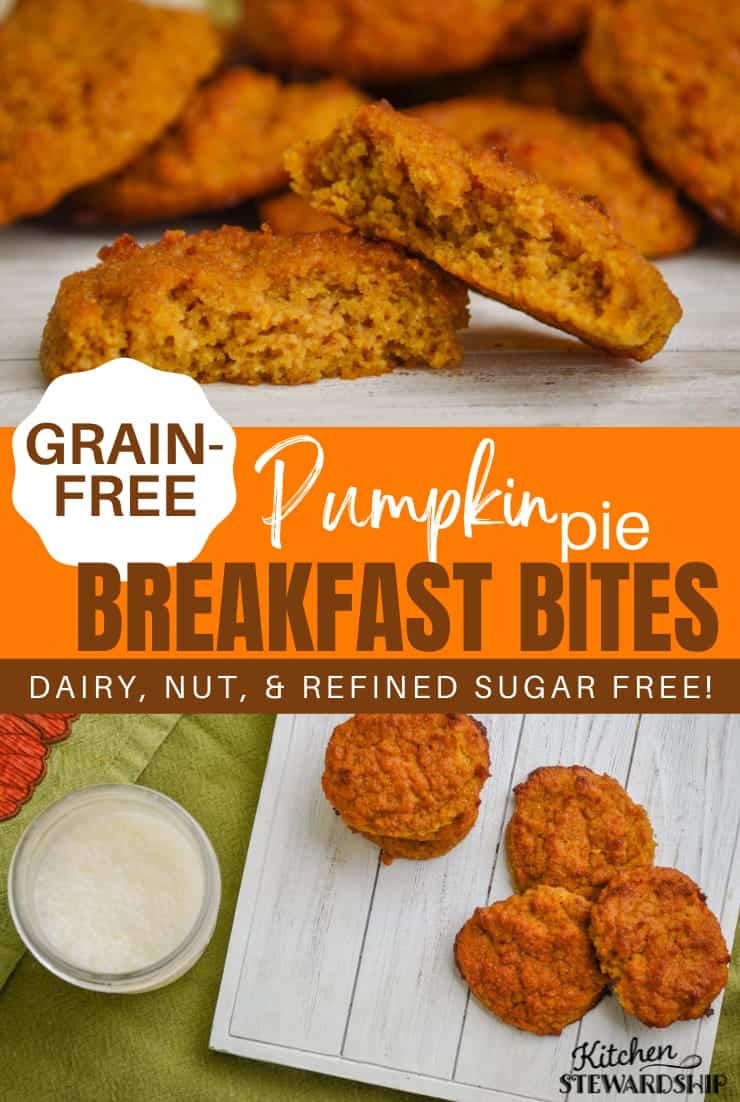 pumpkin pie breakfast bites