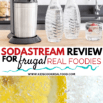 sodastream review for frugal real foodies
