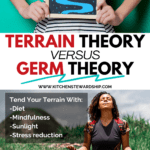 terrain theory versus germ theory