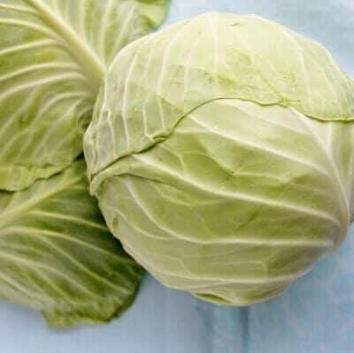 cabbage