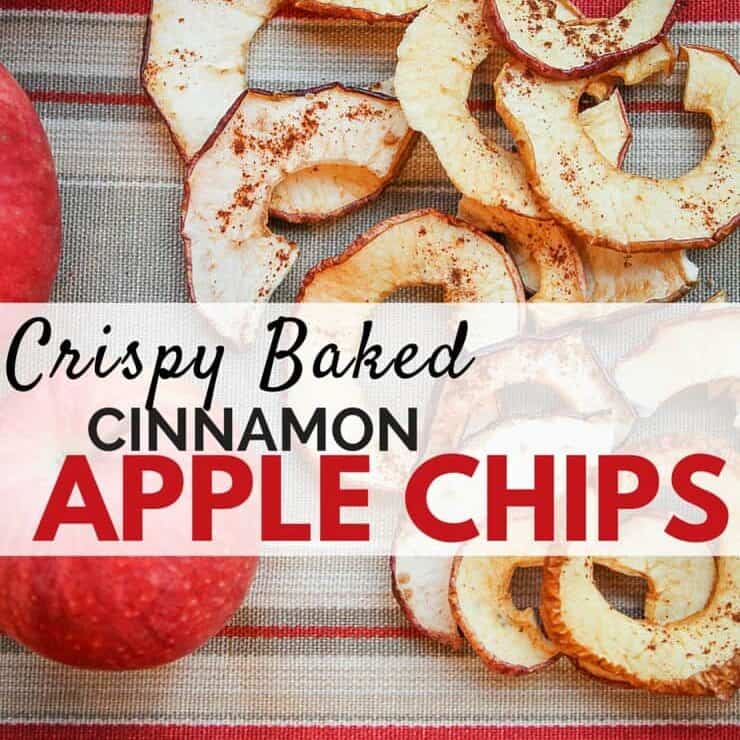 Make your own crispy apple chips without a dehydrator! Kids love this simple fall snack with a touch a cinnamon.
