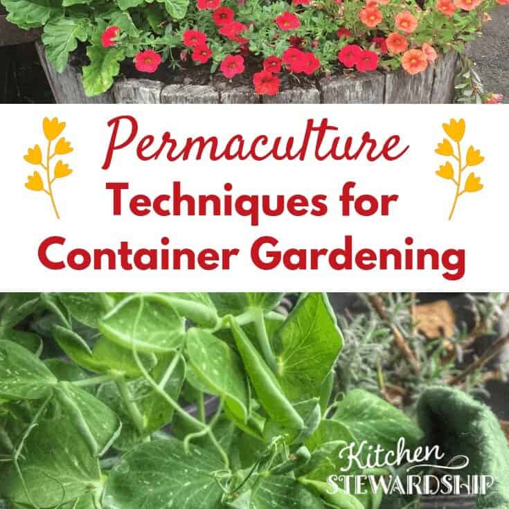 Gardening Permaculture Techniques for Containers