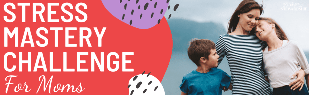 Stress Mastery Challenge for Busy Moms
