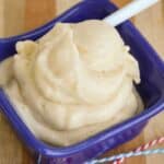 dairy-free ice cream