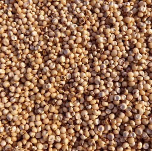 sorghum syrup, how to use sorghum