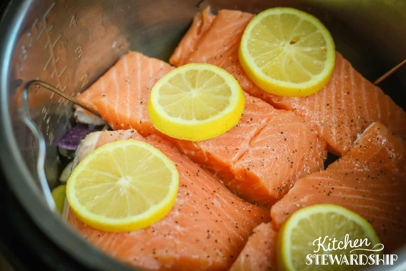 Instant Pot salmon