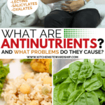 what are antinutrients?