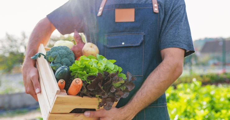 CSA box of produce