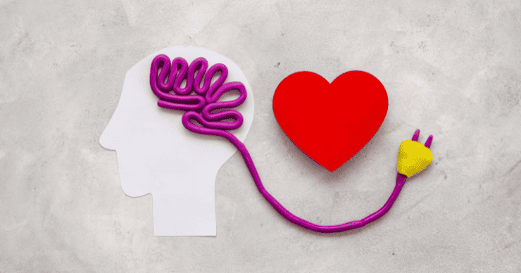 connect heart and brain