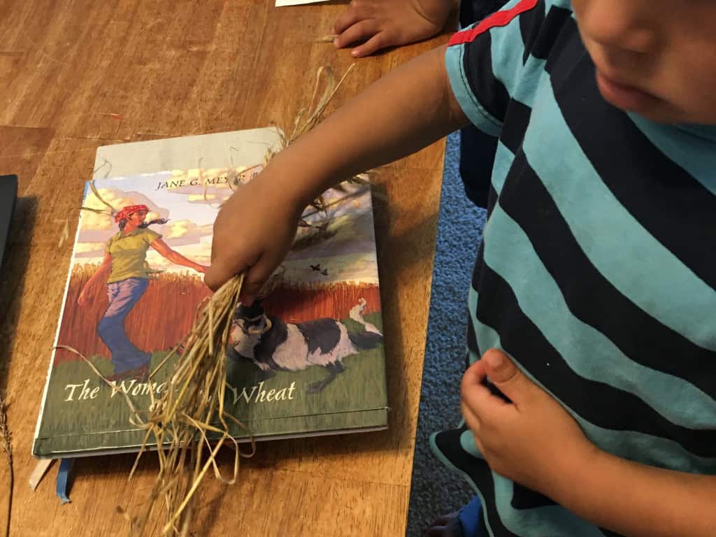 boy with some wheat and a book