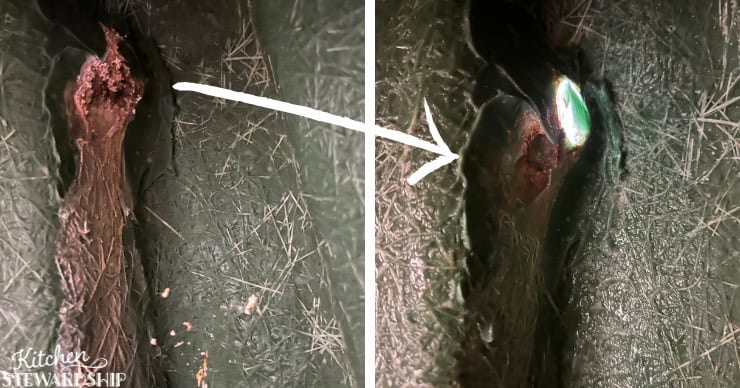 hidden signs of mold before and after