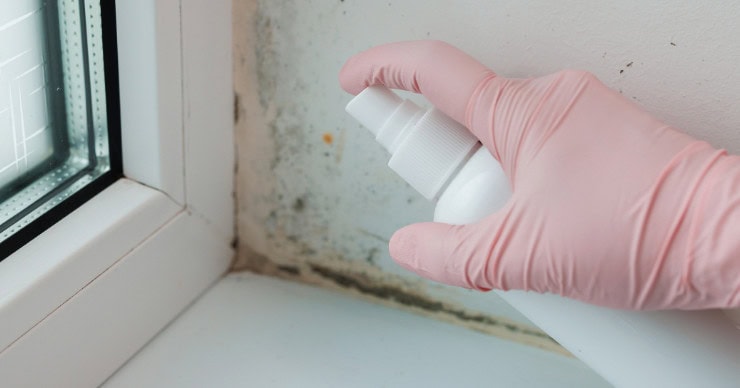 cleaning and remediating mold