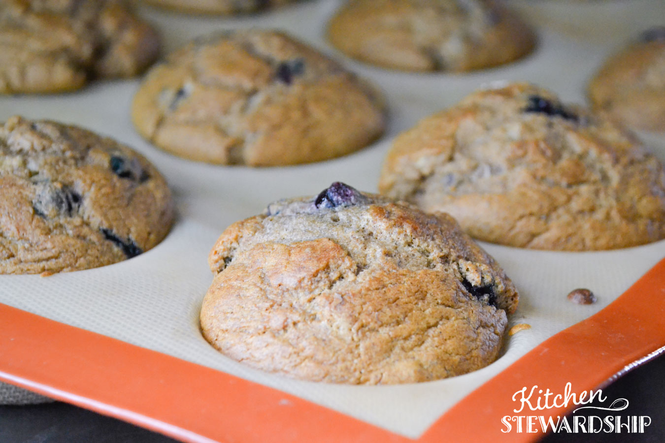 sugar free blueberry muffins