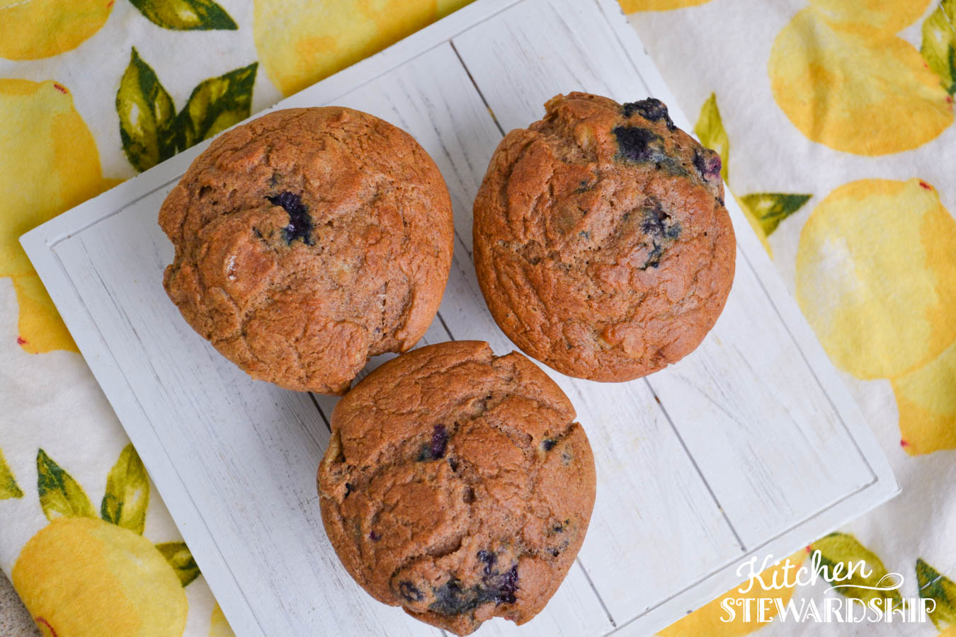 healthy blueberry muffin
