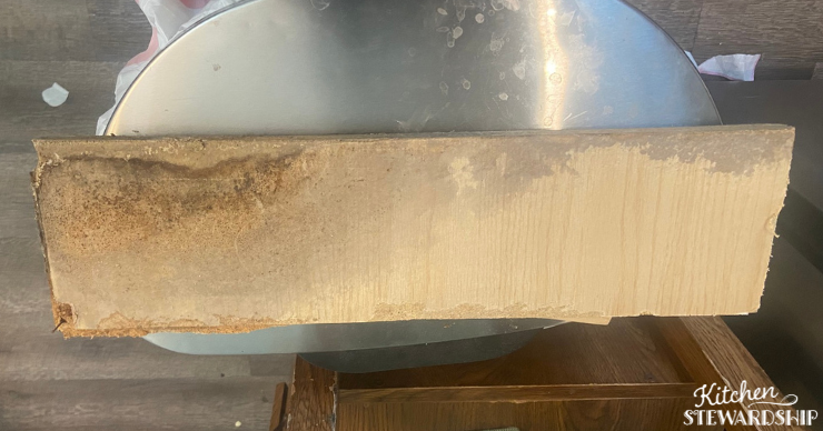 moldy particle board