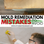 Mold remediation mistakes to avoid