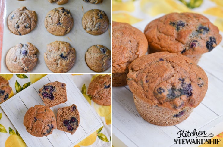 healthy blueberry muffin