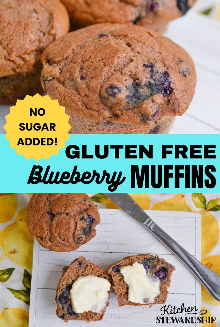 healthy blueberry muffin