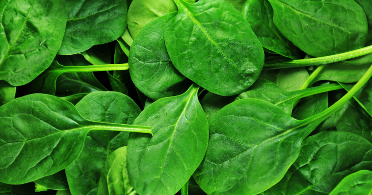 spinach