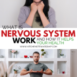 what is nervous system work