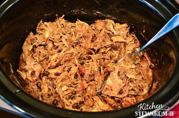 shredded chicken
